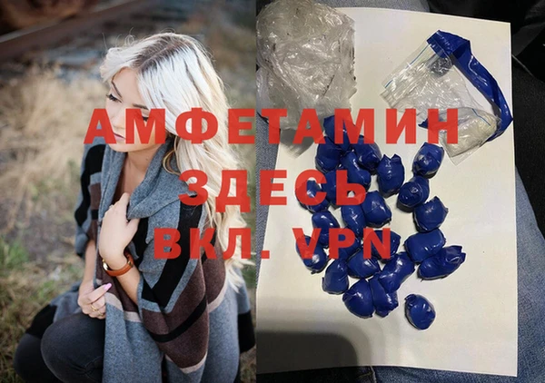 гидра Алексин