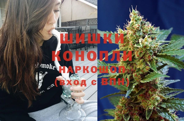 гидра Алексин