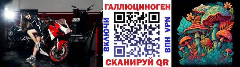 Псилоцибиновые грибы Psilocybe  площадка клад  Ардатов 